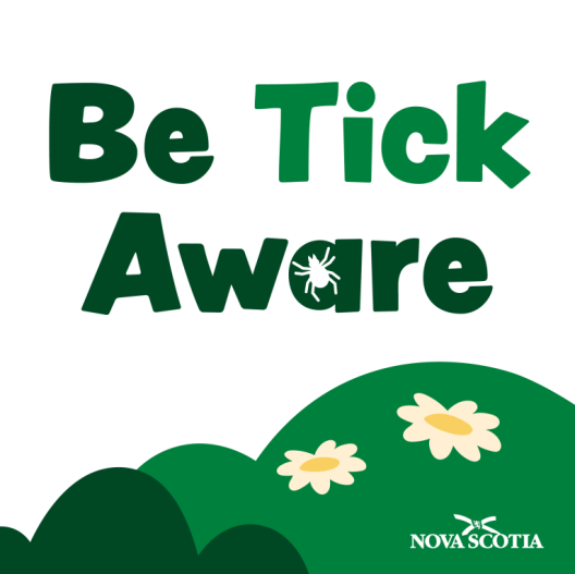 Ticks
