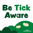 Ticks